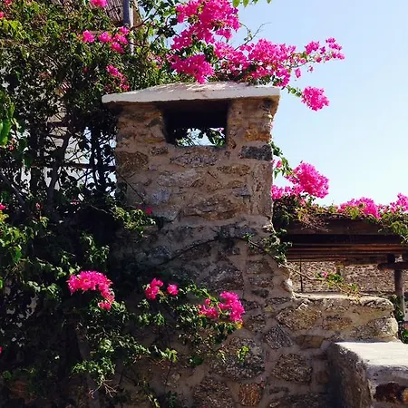 The House In The Field Kalo Livadi
